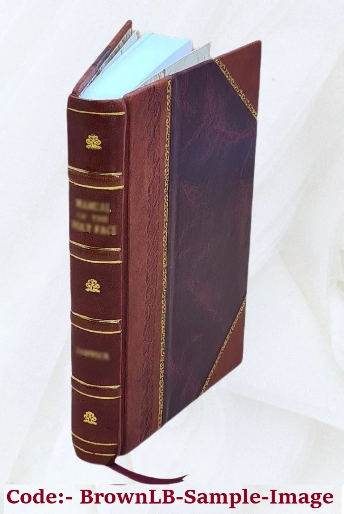Landmarks of history in three parts ; by Miss Yonge ; rev. & partly rewritten by Edith L. Chase. Volume pt.1 1869 [Leather Bound]