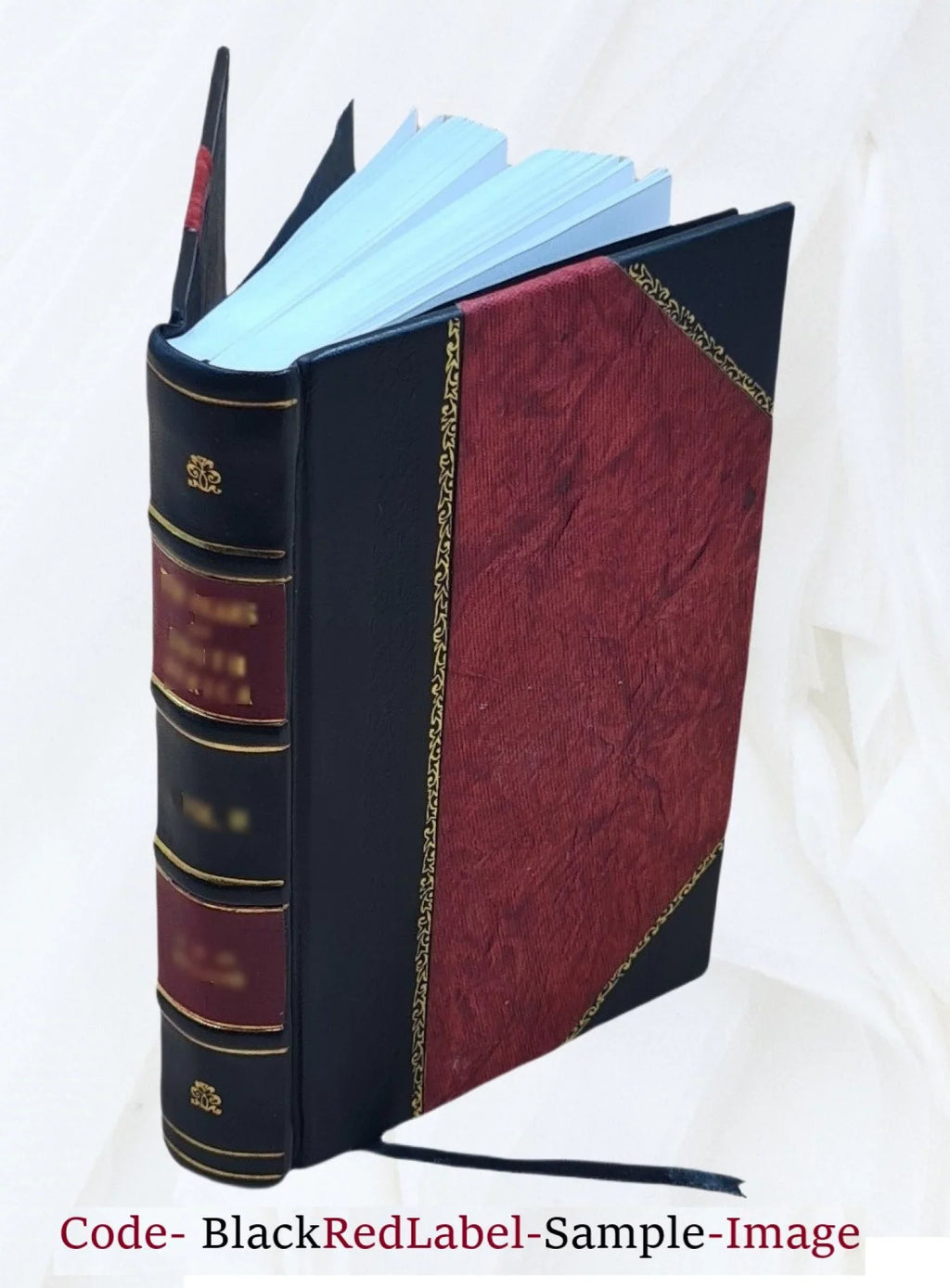 [Omnia quae extant juxta Benedictinorum versionem] Volume 1 1835 [Leather Bound]