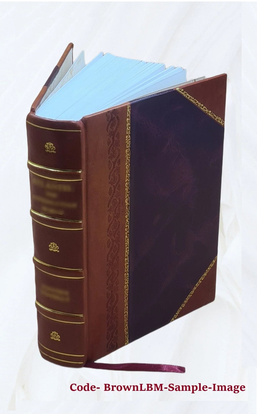 Pauli Iovii ... Opera quotquot extant omnia : a mendis accuratè repurgata vivisque imaginibus eleganter & opportune suis locis illustrata. 1578 [Leather Bound]